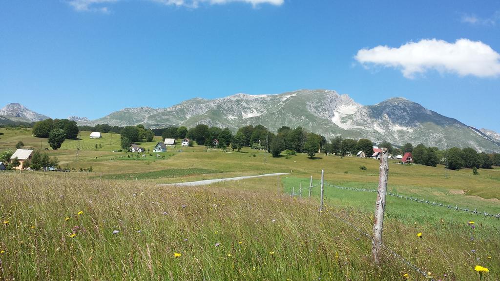 Eco Village Highlander Zabljak  Luaran gambar